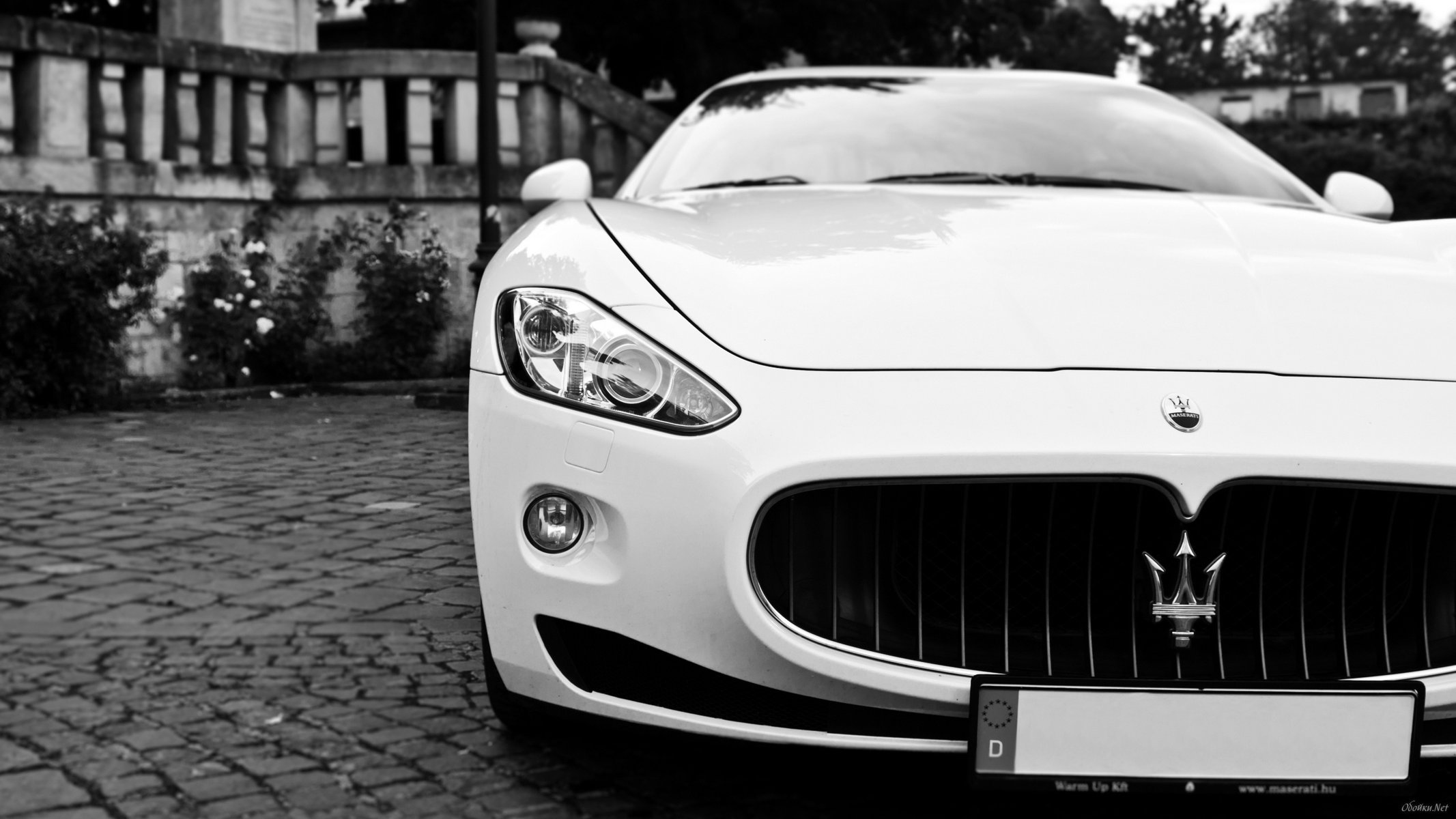 near car passenger cars transport auto cars cars white car black and white maserati luxury photo design headlights road motor transport