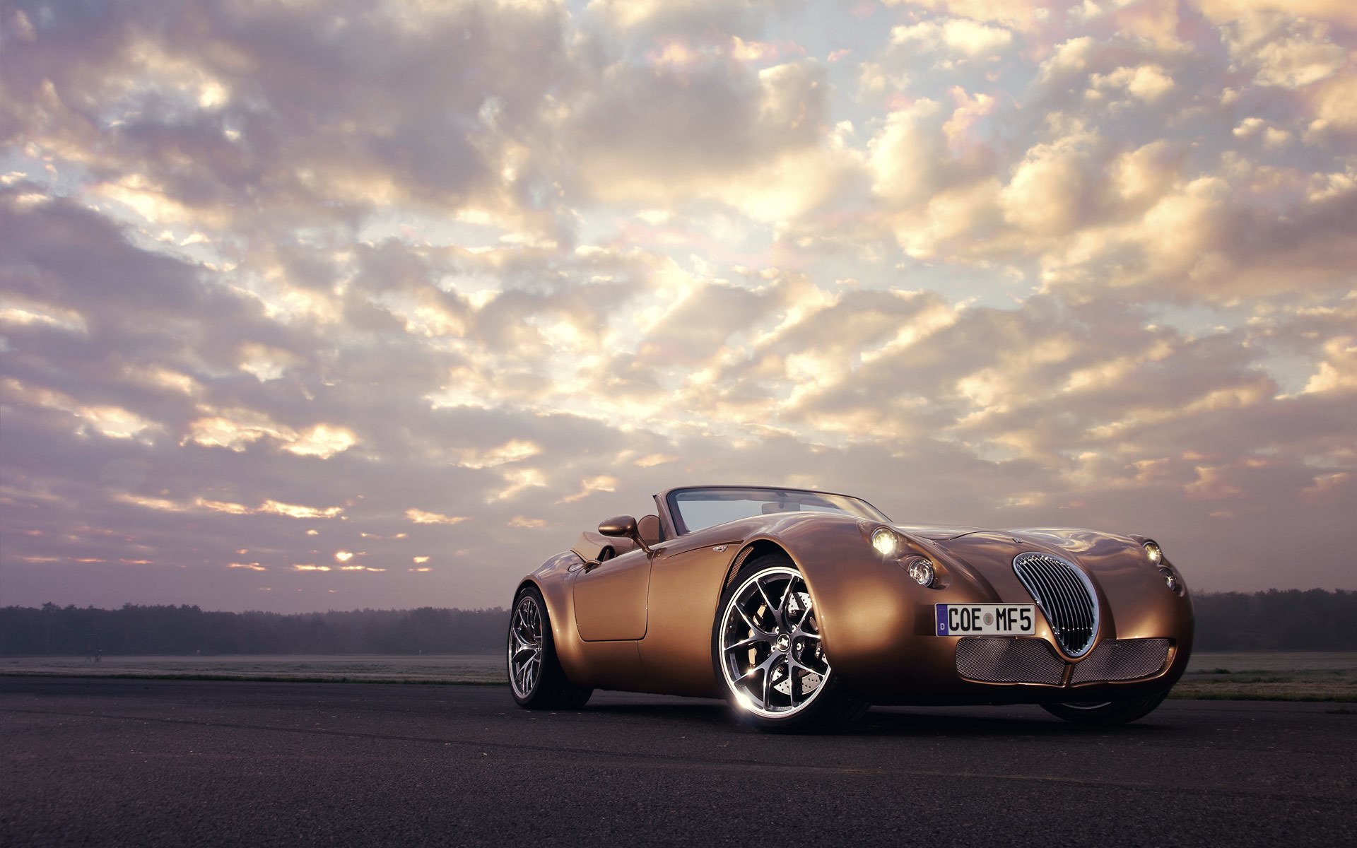 sky roadster wiesmann mf5 autres marques