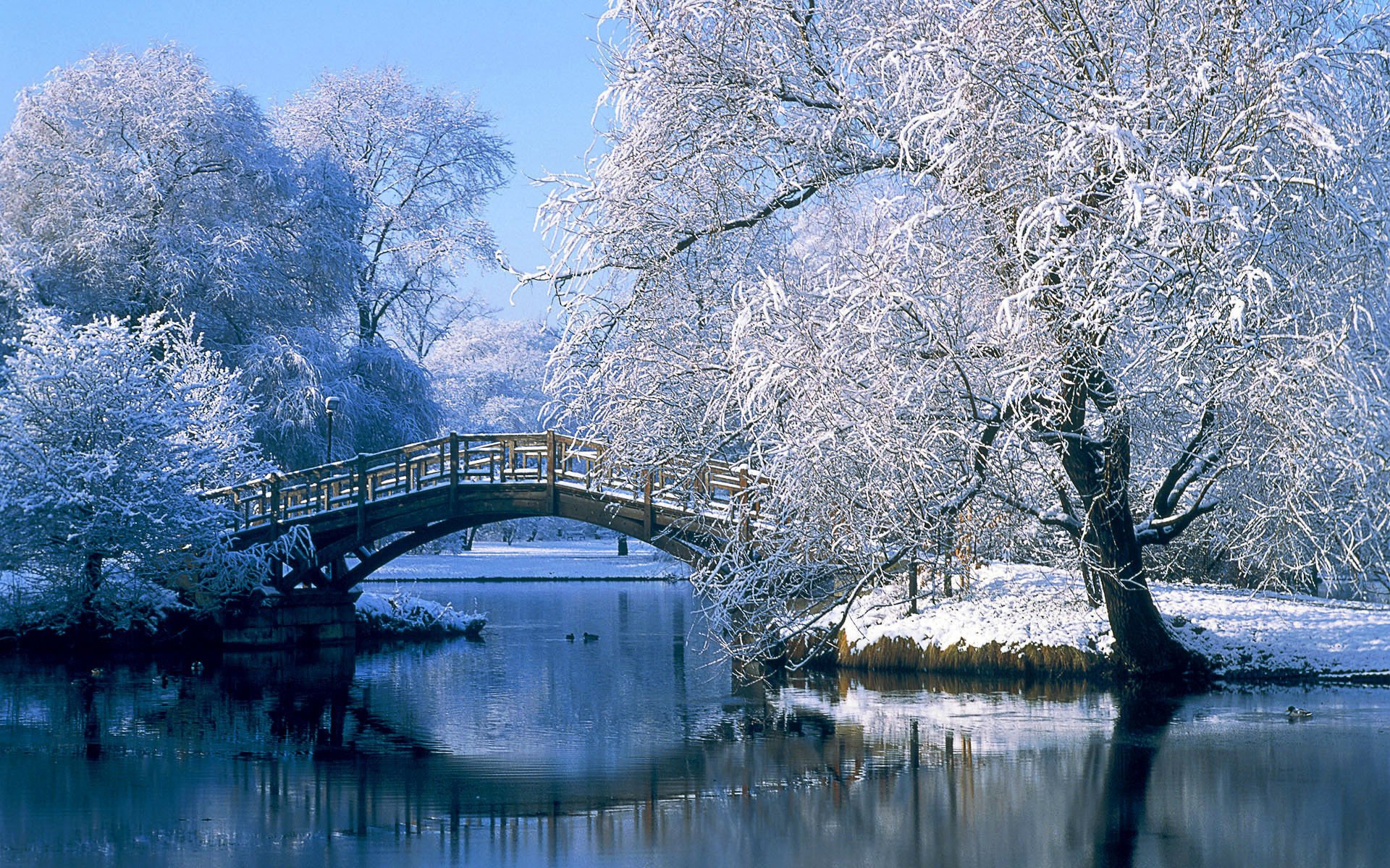 hiver neige pont rivière givre courant paysage arbres enneigés rive ciel gel arbres eau