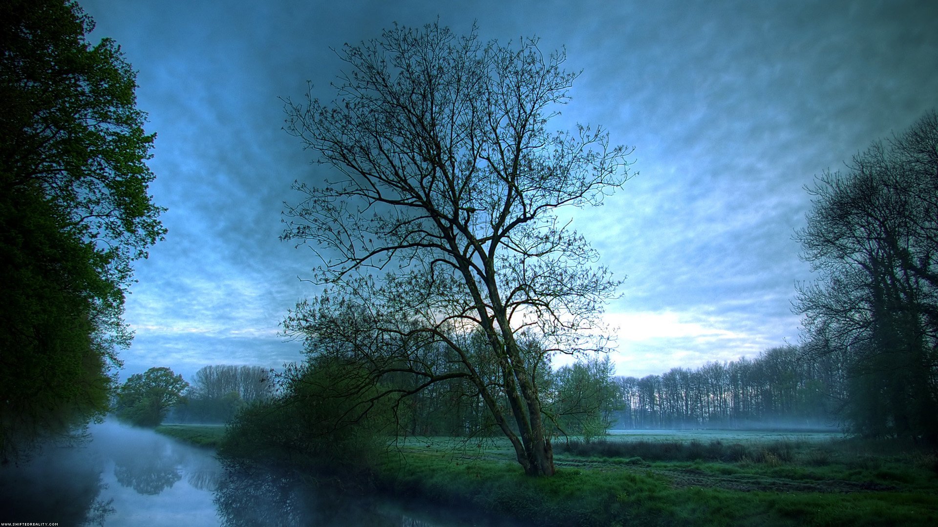 czerwony ble natura woda rzeki drzewa niebo las mgła