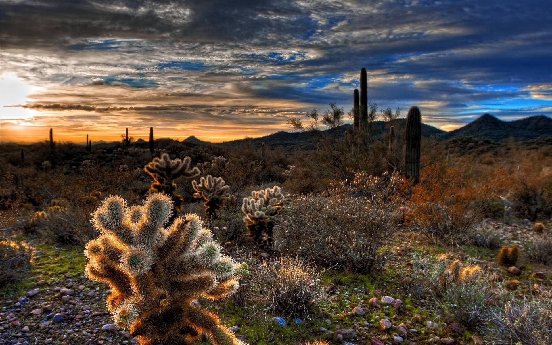 cook ket ciel nocturne horizon coucher de soleil montagnes nature cactus plantes paysage ciel soirée pierres relief collines vallée nuages