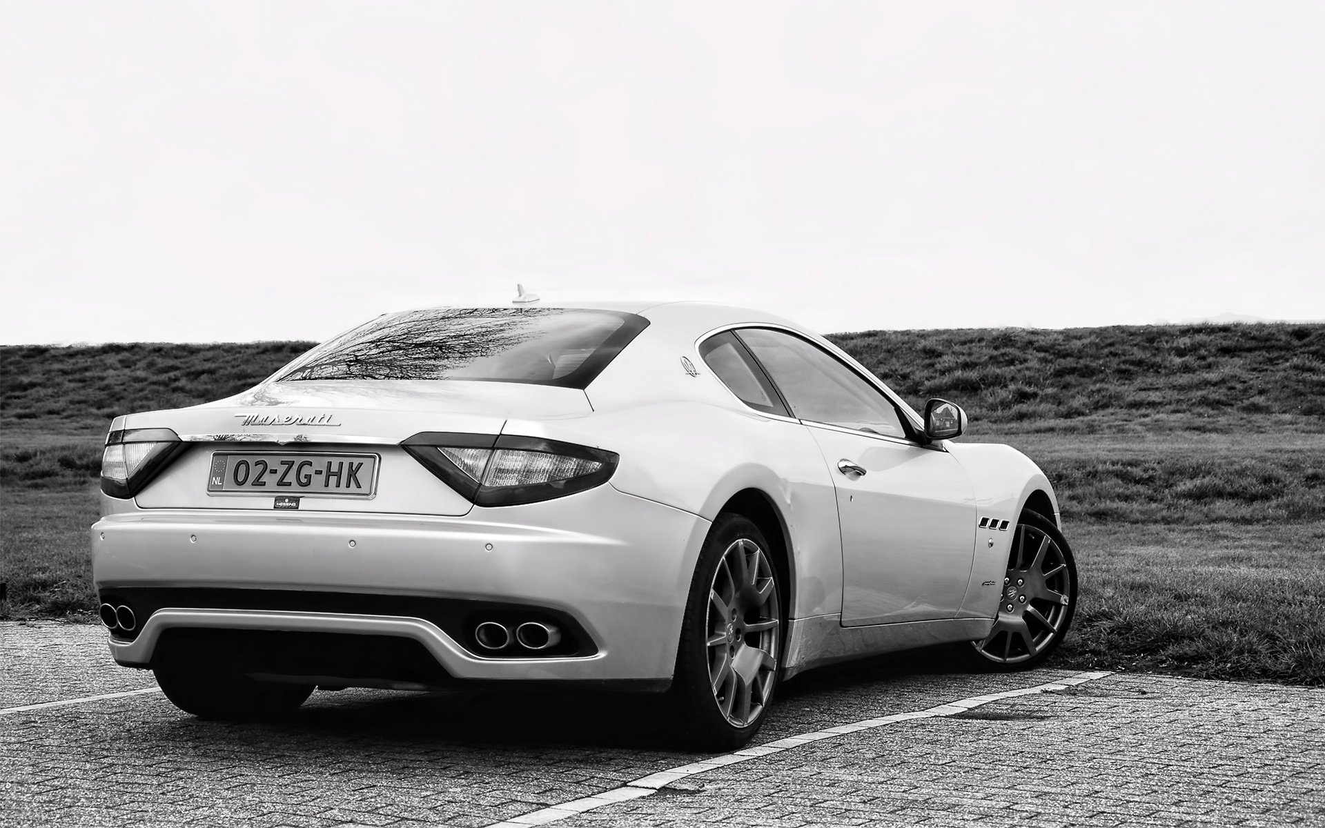 car shop coches coches automóviles vehículos coches coche coche blanco maseratti coche coche llantas b-w gris vehículos blanco negro