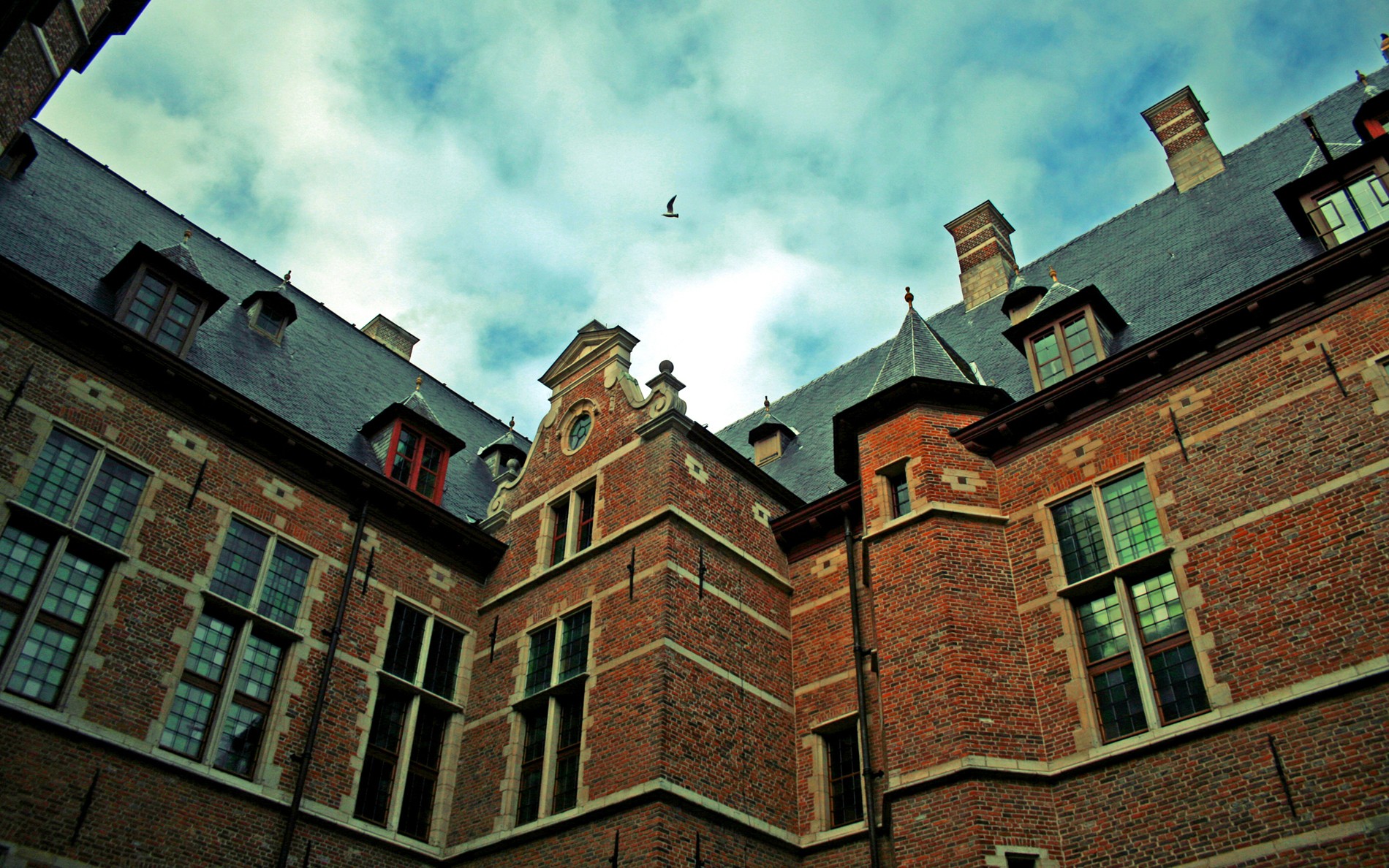 gebäude vögel himmel