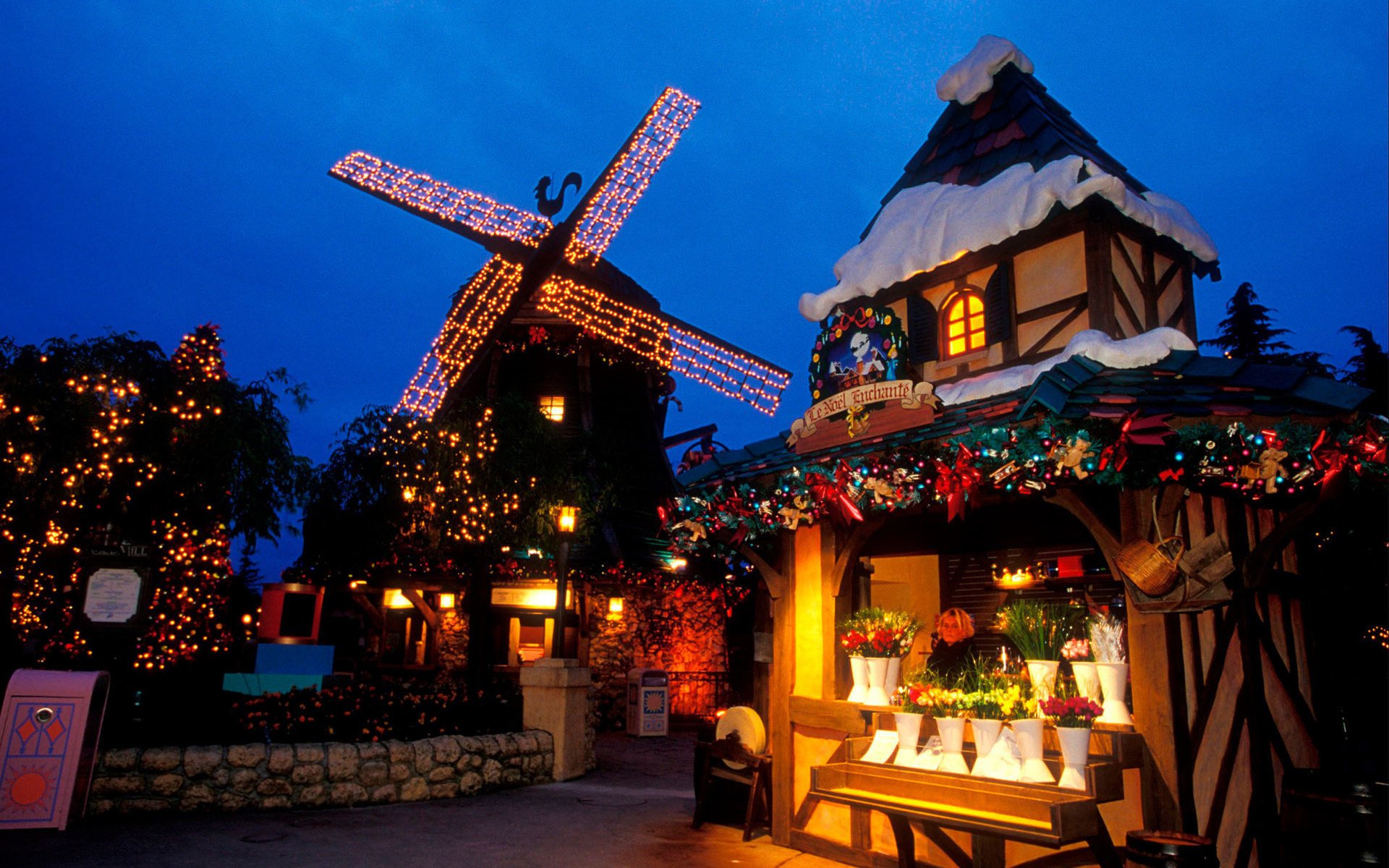 messe blumen theke neujahr mühle urlaub lichter blauer himmel abend straße dekoration girlanden haus geschäft stimmung licht in den fenstern nachthimmel lichter der städte weihnachtsbeleuchtung