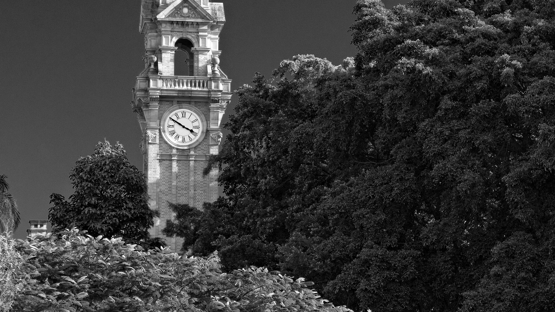 pic nic alberi torri città orologio bianco e nero cappella corona parco cespugli boschetti bw