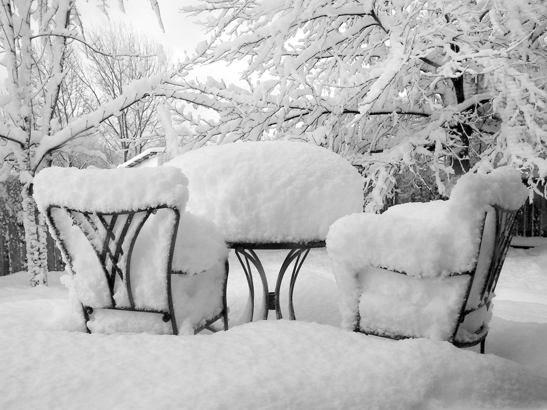 branches in the snow a lot of snow winter garden chairs snow the snow table snow covered trees tree