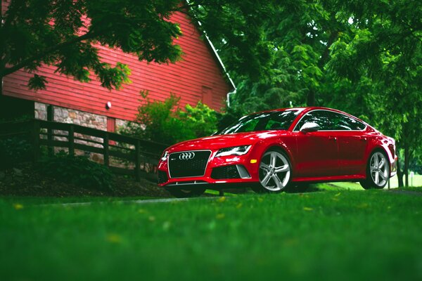 Red Audi as a gift to my grandmother at the dacha