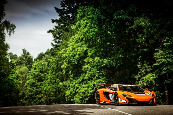 Mclalen 650s, pista, bosque, árboles verdes. bosque exuberante