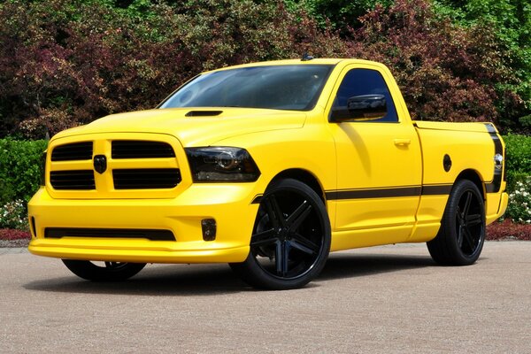 Unusual bright yellow pickup truck on the background of nature