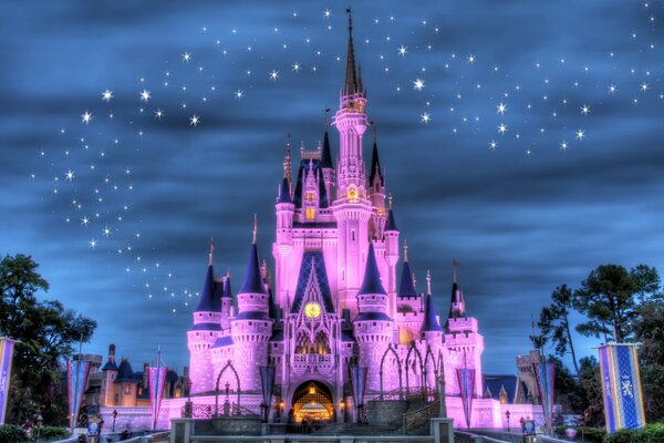 Disney Land luci accese di notte