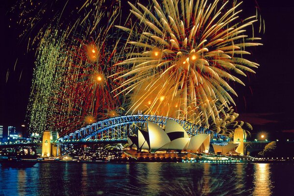 Stunning beauty fireworks in the Sydney sky