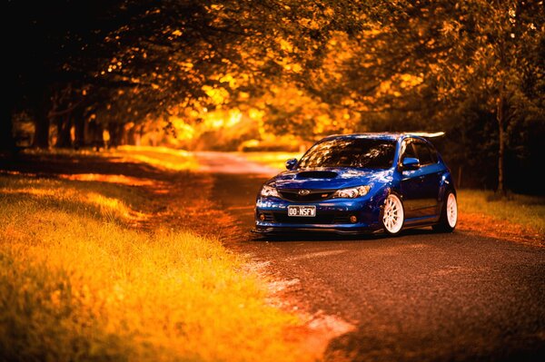 Синяя машина на фоне осеннего леса