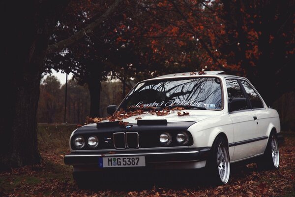 Bmw among the autumn landscape and fallen leaves