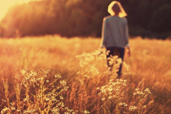 Fille dans un champ de marguerites, coucher de soleil