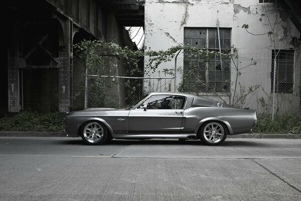 Ford mustang gt500 plateado en la ciudad