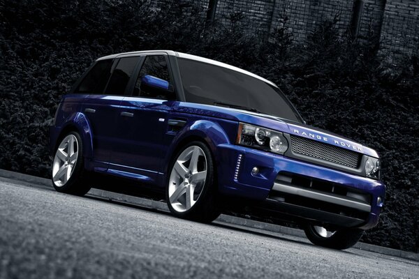 Blue regge Rover in un bellissimo rack