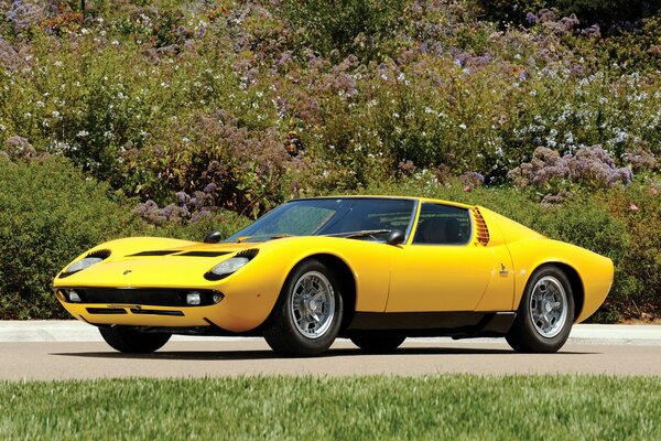 La leggenda dell industria automobilistica lamborghini Miura in giallo