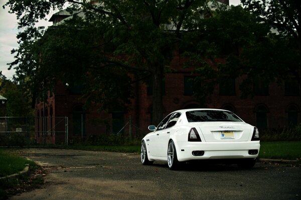 Maserati blanco debajo del árbol, vista trasera