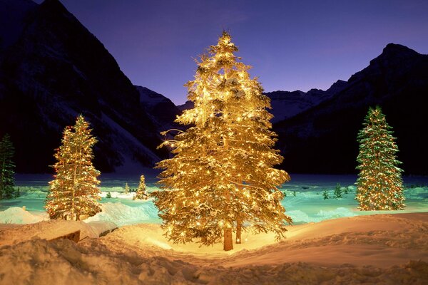 Guirlandes sur les arbres de Noël dans la nouvelle année