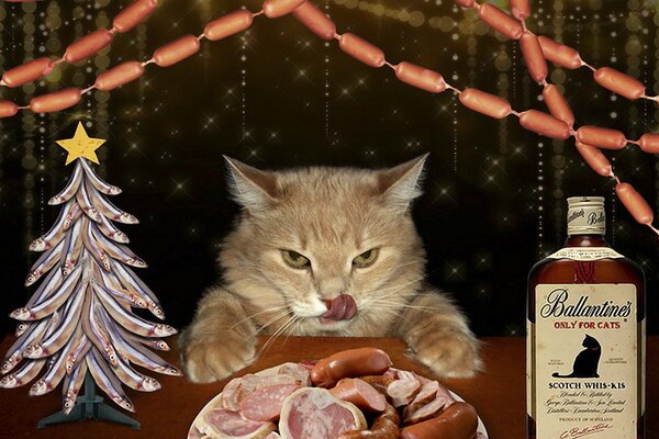 The cat is a glutton in a garland of sausages