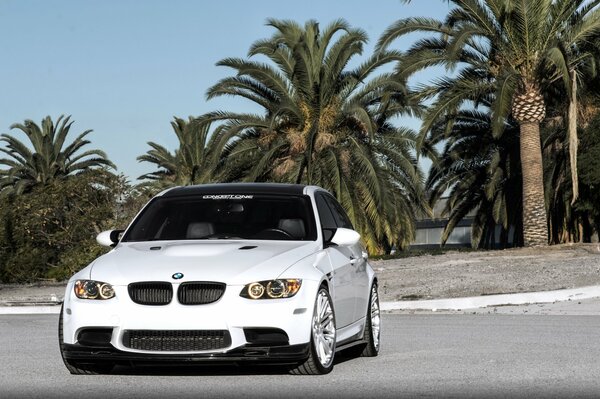 White bmw on a background of palm trees