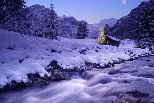 Snowy winter New Year landscape