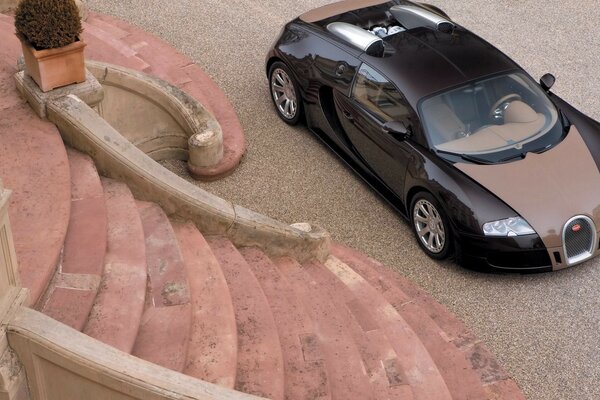 Bugatti black color car