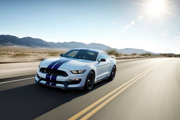 Mustang Shelby en la autopista del desierto