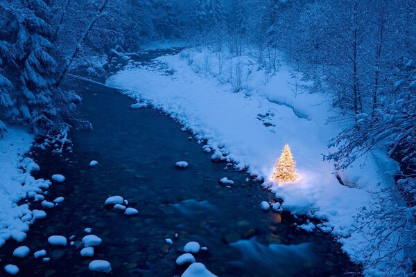 Christmas tree in lights among the winter forest