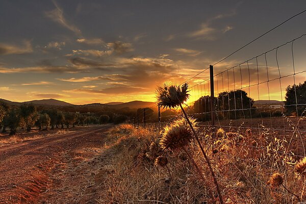 Recinto di filo in natura nel campo