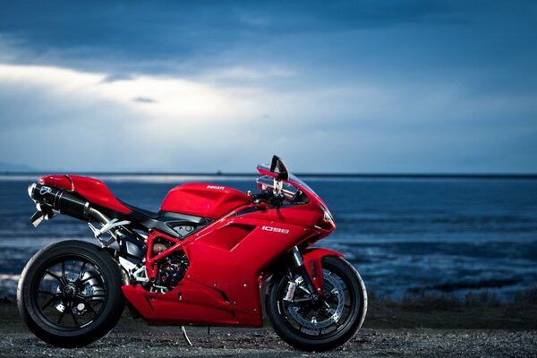 Rotes Ducati-Motorrad auf dem Hintergrund des Meeres