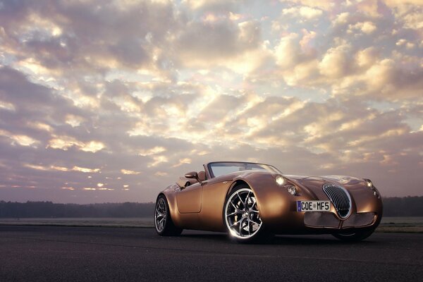 Der wiesmann mf5 Roadster ist in allen Farben erhältlich