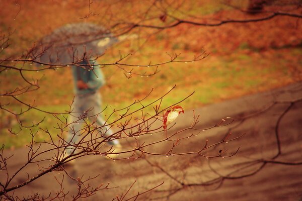 A man walking in a light rain