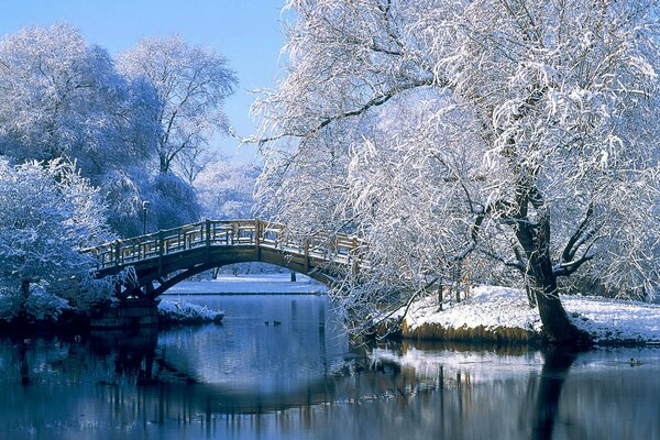 Verschneite Bäume. Brücke über den Fluss