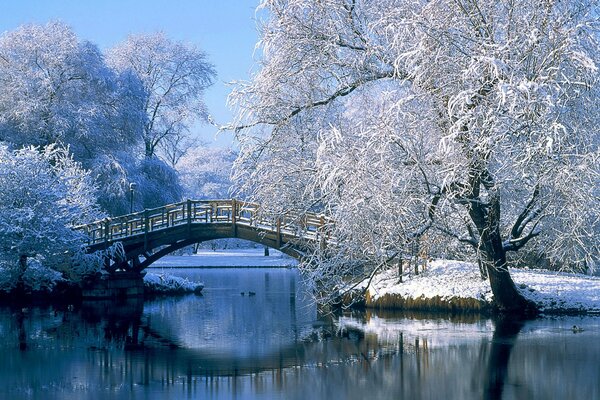 Pokryte śniegiem drzewa. Most na rzece