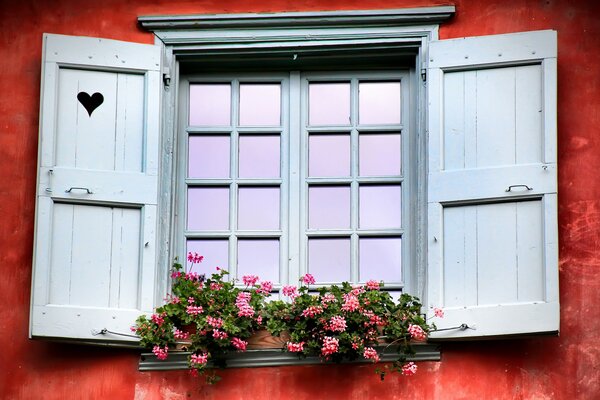 Ventana con persianas abiertas contra una pared roja