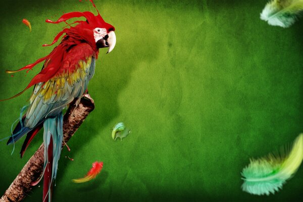 Parrot on a green background on a branch from a tree