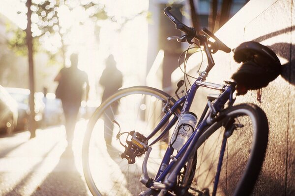 A sports bike standing under the morning sun