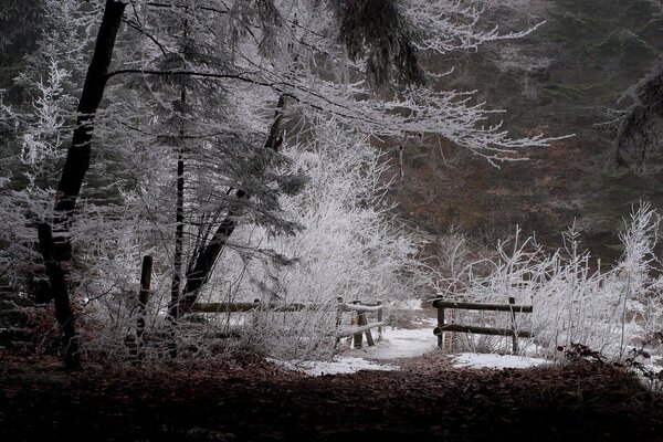 En invierno, la naturaleza es especialmente hermosa