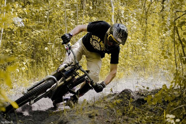 Ciclista en una carrera en el bosque en el pantano