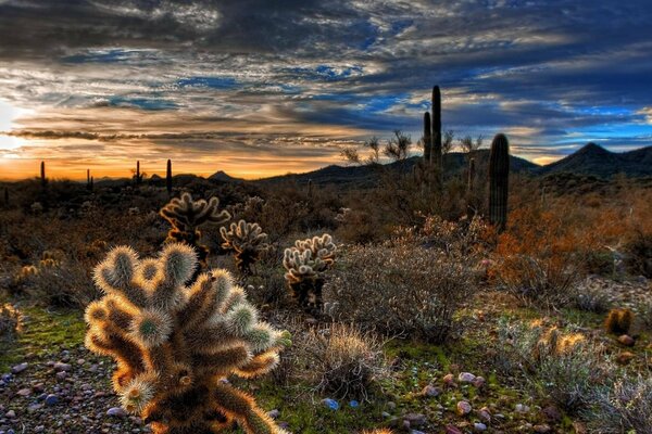 Tramonto in montagna, Cactus, valle di rilievo