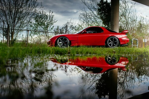 Das rote Auto wird im Wasser reflektiert