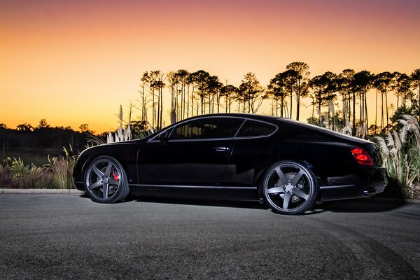 A picture of a bentley continental gt car standing against a background of trees