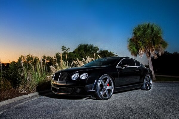 A picture of a black bentley continental gt car against the background of nature
