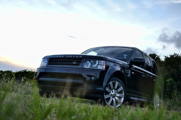 Schwarzer Auto Land Rover im Gras