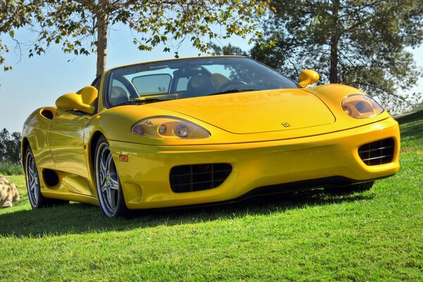 Amarillo Ferrari 360 convertible se encuentra en el césped