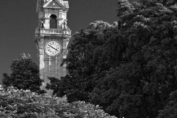 Fotografía en blanco y negro de la torre del reloj