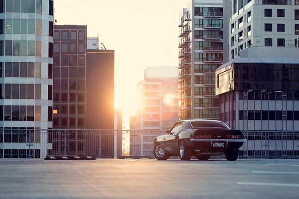 Chevrolet Camaro en medio de la puesta de sol entre el desarrollo urbano