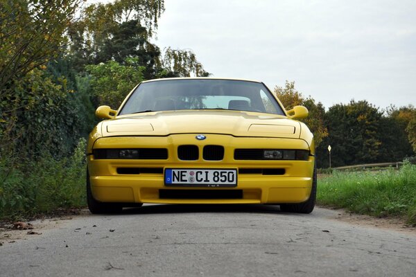 BMW DEPORTIVO amarillo cerca del bosque