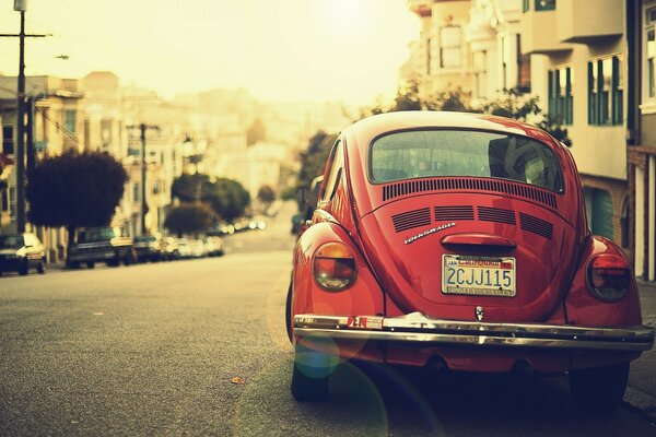 Red volkswagen beetle retro, rear view